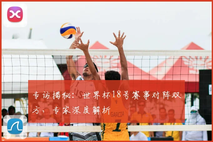 专访揭秘：世界杯18号赛事对阵双方，专家深度解析