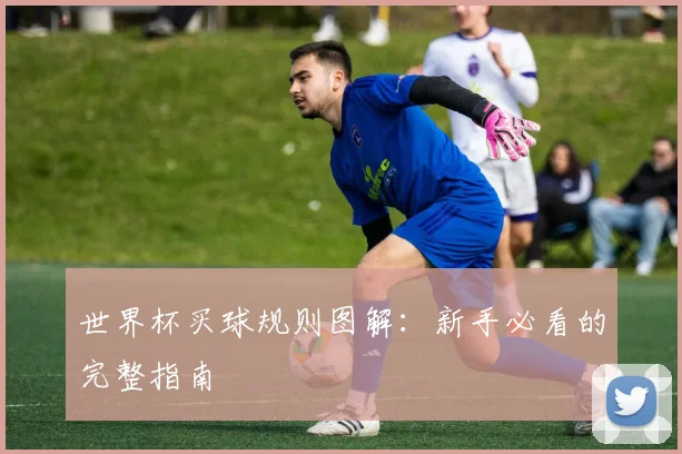 世界杯买球规则图解：新手必看的完整指南