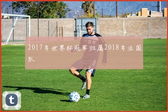2017年世界杯冠军归属2018年法国队
