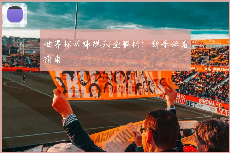 世界杯买球规则全解析：新手必看指南
