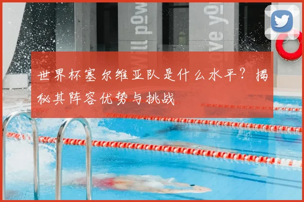 世界杯塞尔维亚队是什么水平？揭秘其阵容优势与挑战