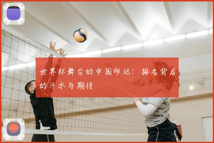 世界杯舞台的中国印记：排名背后的汗水与期待