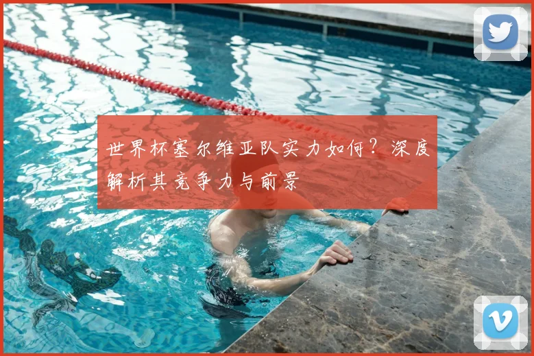 世界杯塞尔维亚队实力如何？深度解析其竞争力与前景