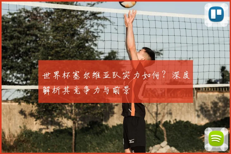 世界杯塞尔维亚队实力如何？深度解析其竞争力与前景