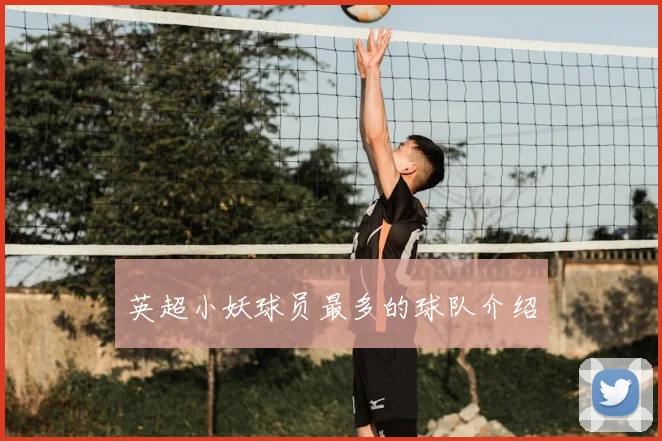 英超小妖球员最多的球队介绍