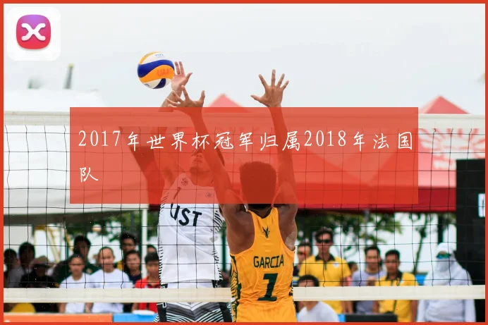 2017年世界杯冠军归属2018年法国队